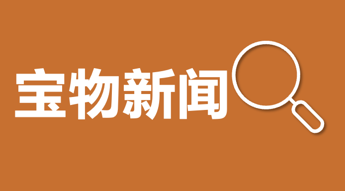 我国基本养老保险参保人数达105307万人